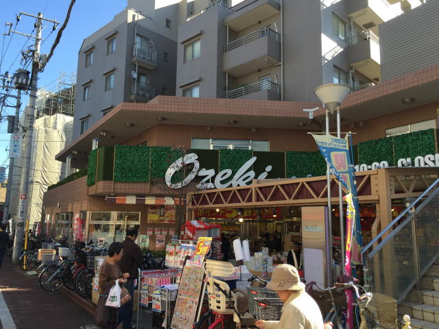 田園調布スカイハイツ　周辺環境