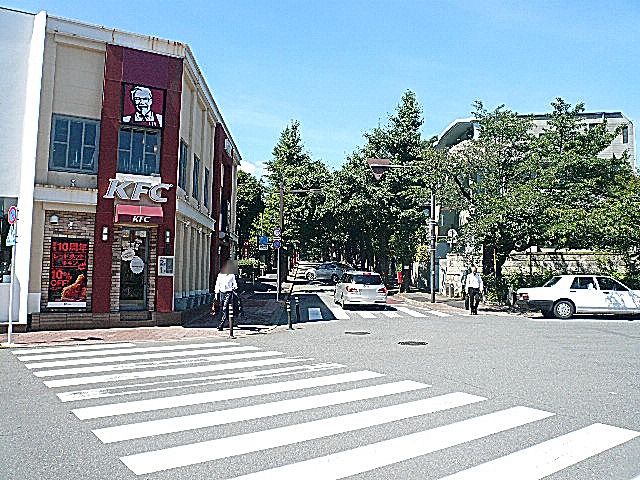 アークステージ田園調布　マンションまでの道のり