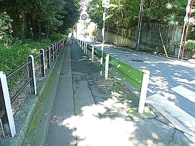 アークステージ田園調布　マンションまでの道のり