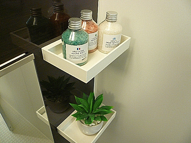 アークステージ田園調布　トレイ202