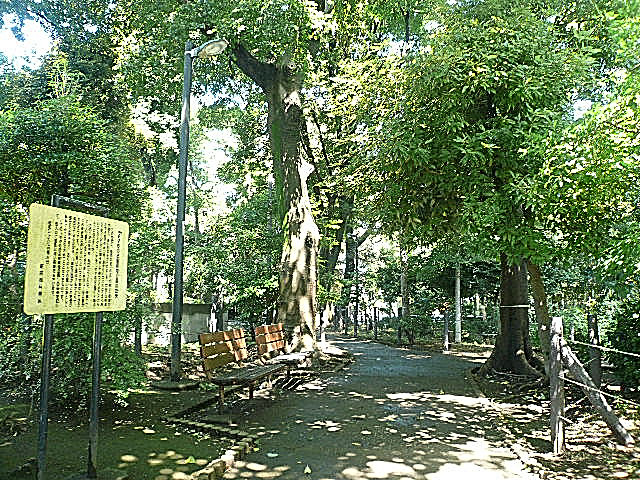 ロワイヤル碑文谷　マンションまでの道のり