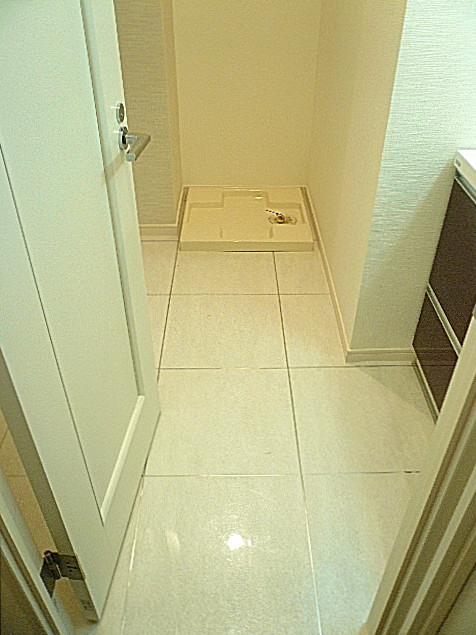 ロワイヤル碑文谷　サニタリールーム