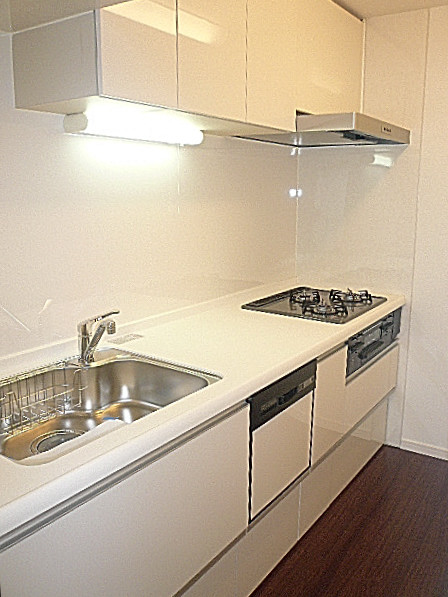 ロワイヤル碑文谷　システムキッチン