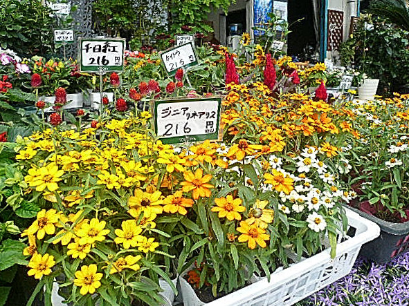 マンションまでの道のり