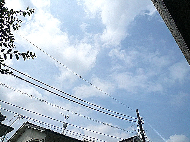 オーベル三軒茶屋　1階からの眺望