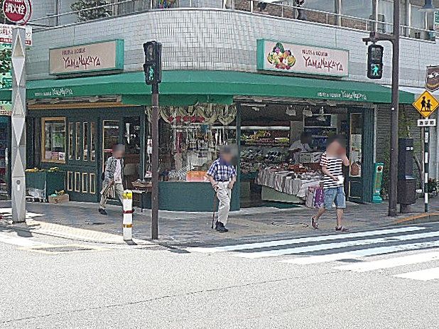 ビュラ田園調布　田園調布駅周辺