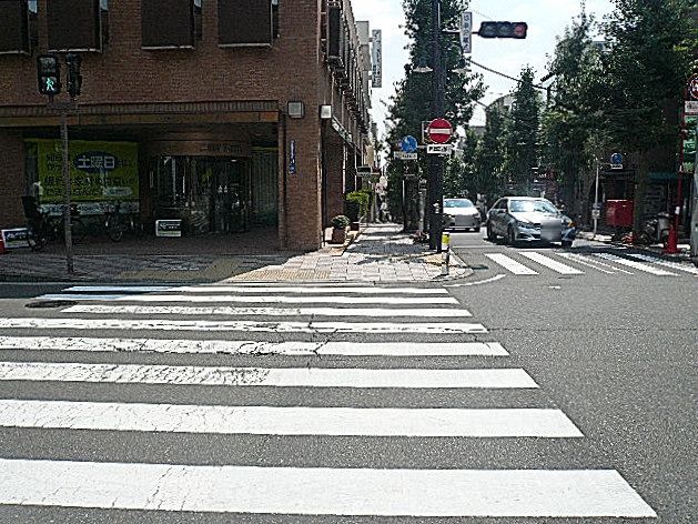 ビュラ田園調布　マンションまでの道のり