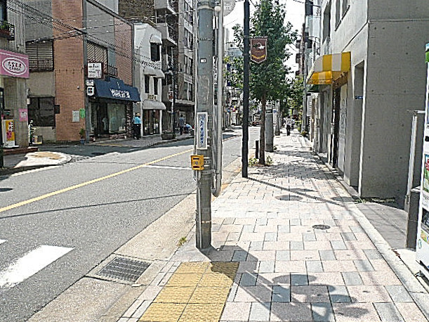 ビュラ田園調布　マンションまでの道のり