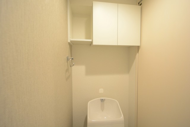 東品川ハウス_2SLDK トイレ