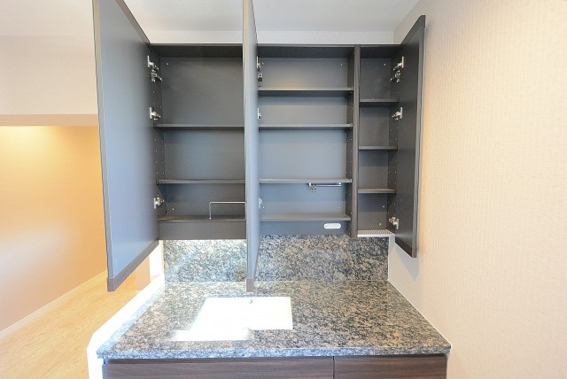 音羽ハウス 洗面