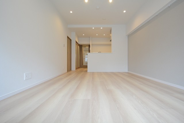 麻布十番中央マンション LD