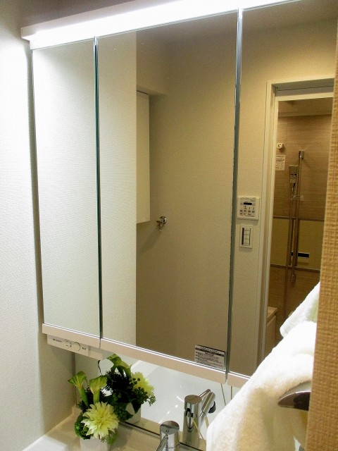 ハイラーク五反田 洗面