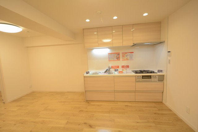 東品川ハウス_2SLDK キッチン