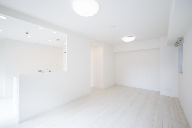 ライオンズマンション新富町 LDK