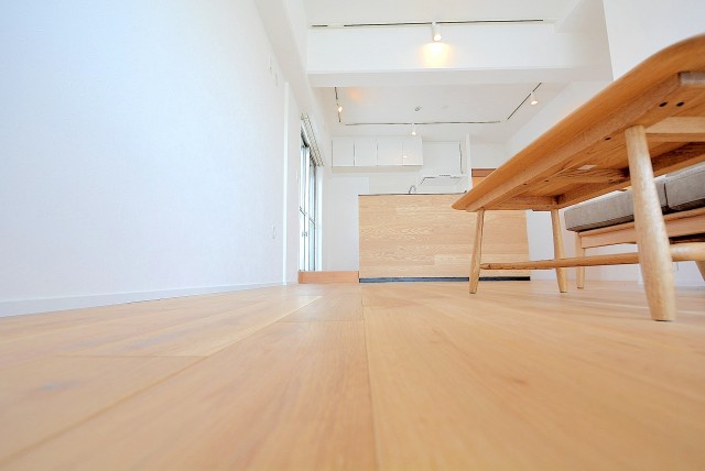 飯田橋第二パーク・ファミリア LD