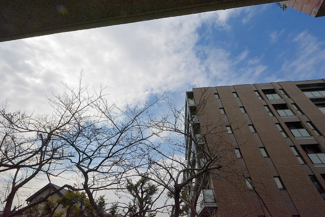 弦巻リハイム バルコニー