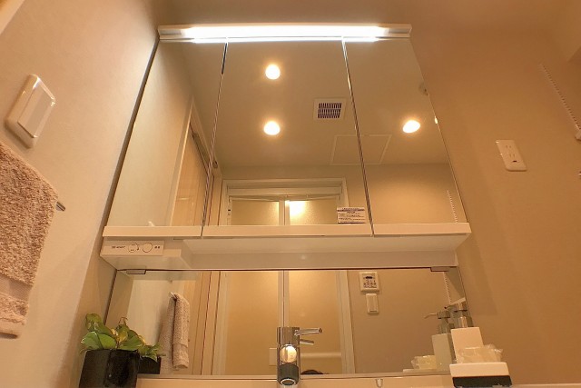 ライオンズヴィアーレ幡ヶ谷 洗面