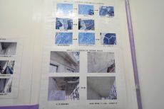 成城エコーハイツ (11)