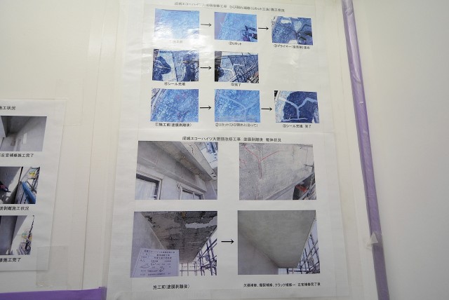 成城エコーハイツ (11)