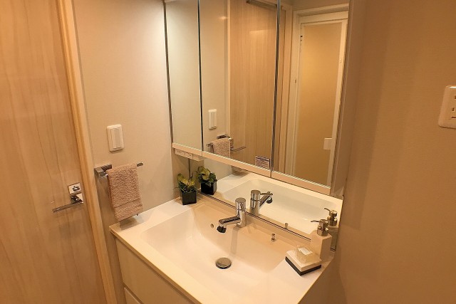 ライオンズヴィアーレ幡ヶ谷 洗面