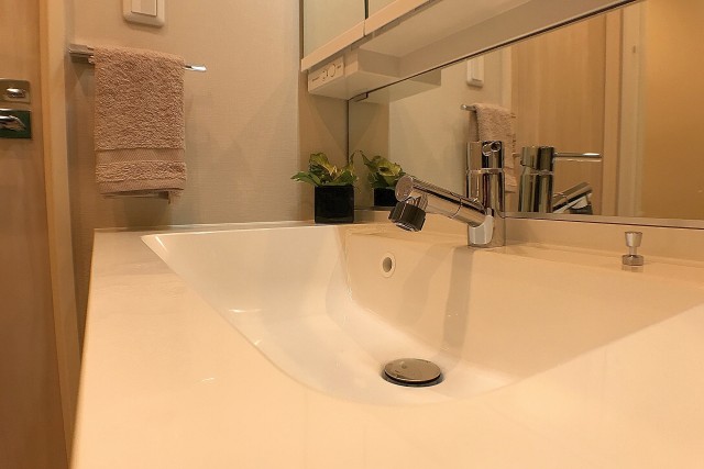 ライオンズヴィアーレ幡ヶ谷 洗面