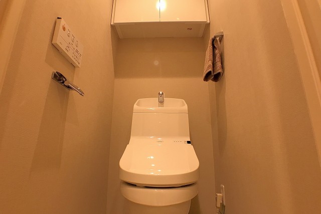 ライオンズヴィアーレ幡ヶ谷 トイレ