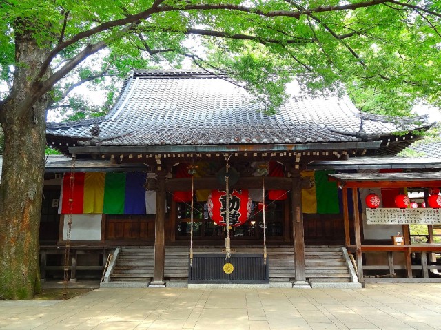 ニューライフ等々力　等々力不動尊