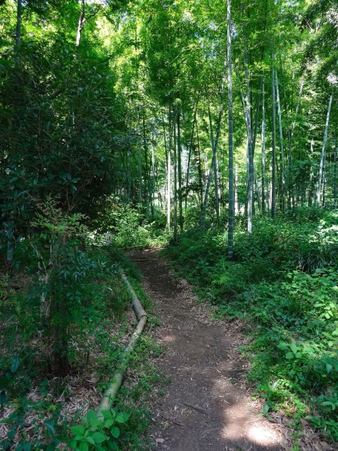 ガーデンハウス　瀬田四丁目広場