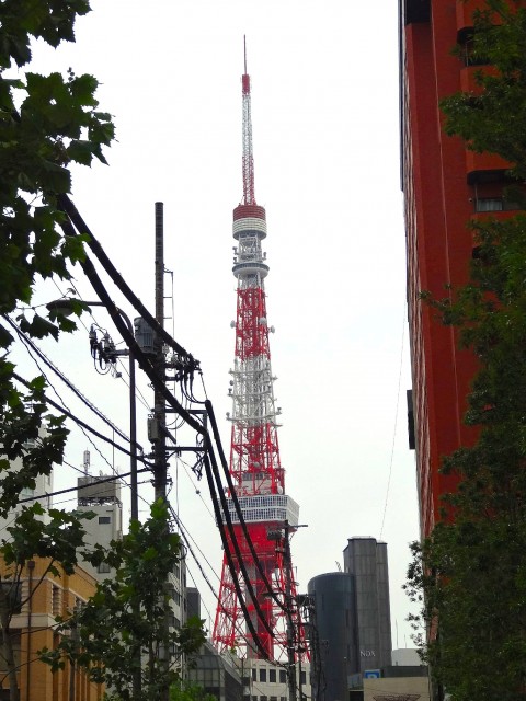 麻布台ロイヤルプラザ　東京タワー