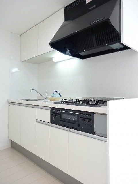 柿の木坂コーポ　システムキッチン