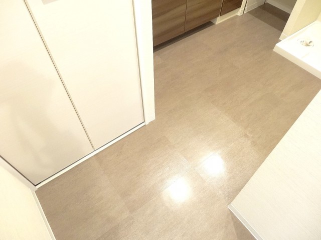 ニューライフ等々力　洗面室