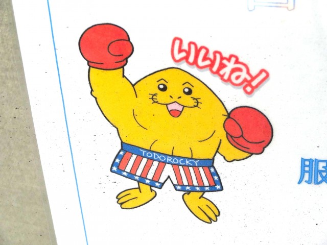 ニューライフ等々力　トドロッキー