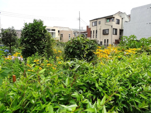 砧フラワーマンション　周辺