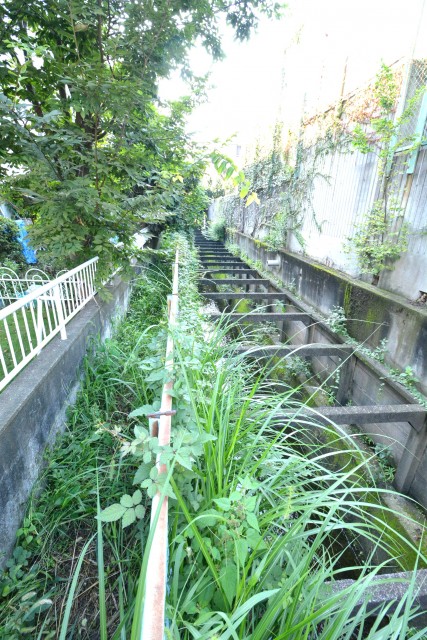 砧フラワーマンション　専用庭