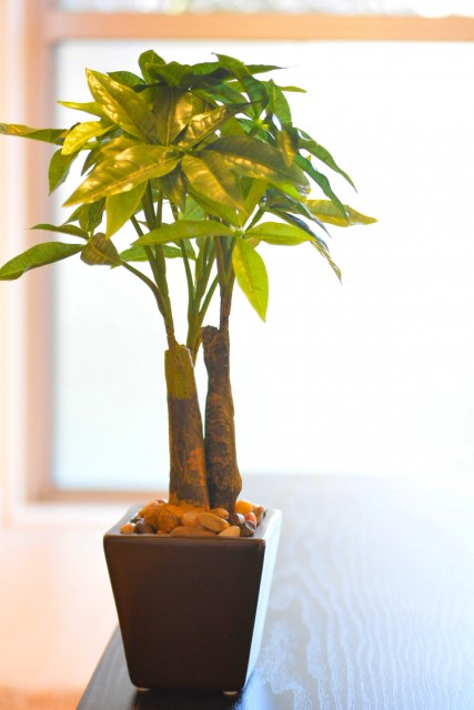 砧フラワーマンション　洋室6.4帖　