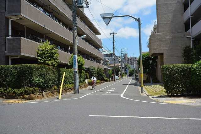 コスモ学芸大学　前面道路