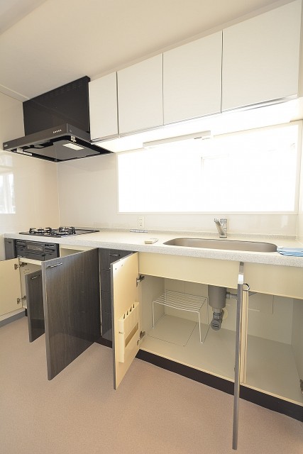 アールヴェール新宿弁天町　シスムテキッチン301