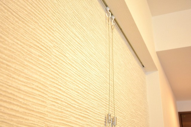 ライオンズヴィアーレ幡ヶ谷　ピクチャーレール