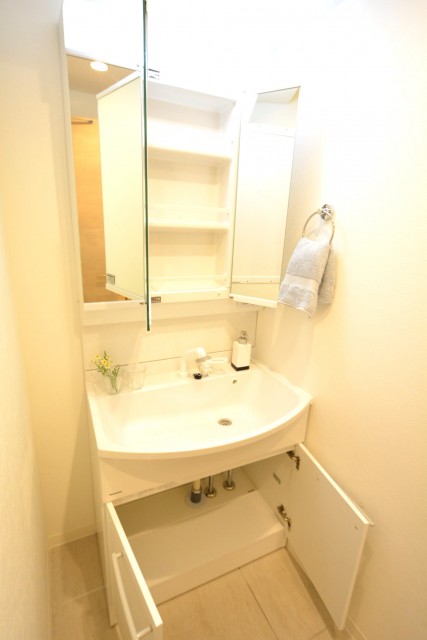 藤和護国寺コープ　洗面台211