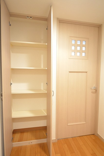 アールヴェール新宿弁天町　廊下収納とＬＤＫ扉102