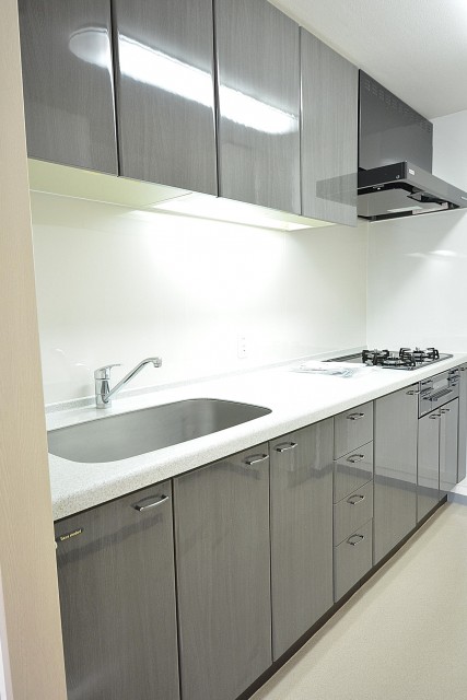 アールヴェール新宿弁天町　システムキッチン102