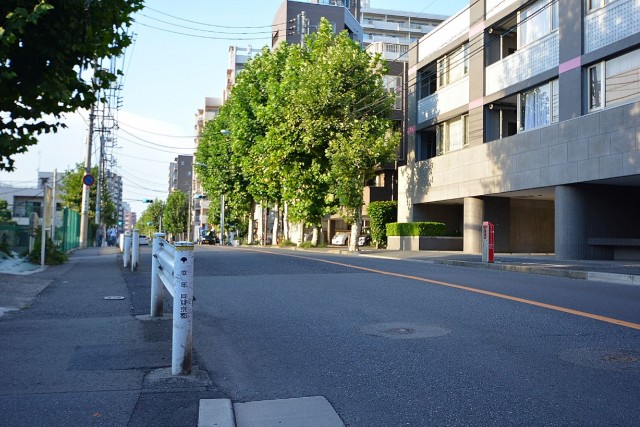 アールヴェール新宿弁天町　前面道路