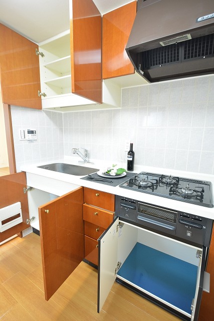 コスモ学芸大学　システムキッチン