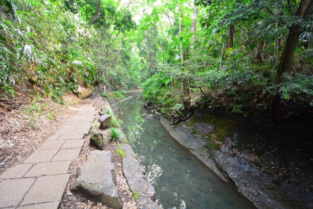ニューライフ等々力　等々力渓谷
