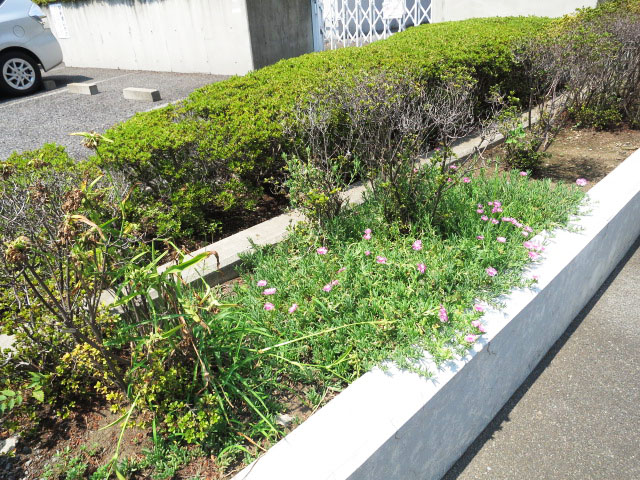 目白武蔵野マンション　エントランス