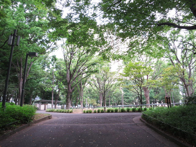 新宿パークサイド永谷　周辺環境