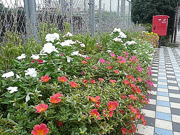 コンド田園調布　多摩川駅周辺