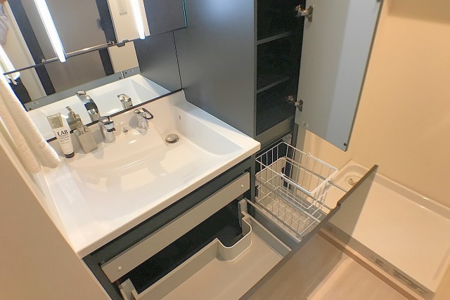 月島リバーハウス 洗面