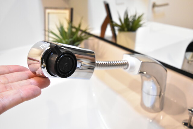 三軒茶屋シティハウス 洗面室