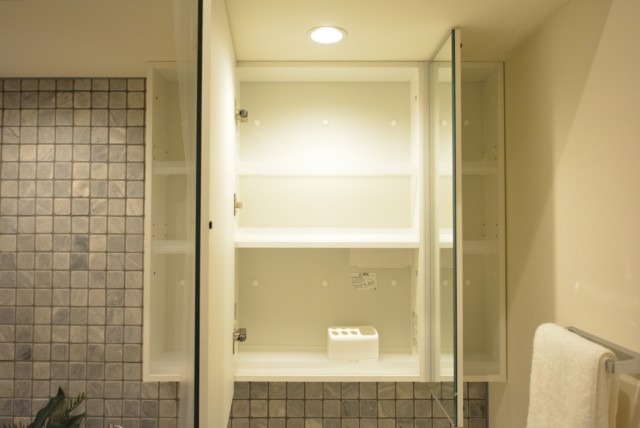 藤和青葉台コープ 洗面室